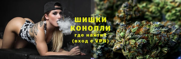 прущие грибы Волоколамск