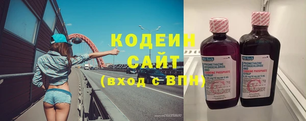 шишки Вязники
