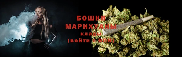 шишки Вязники