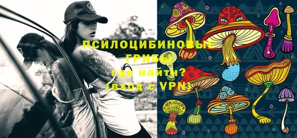 прущая мука Вязьма
