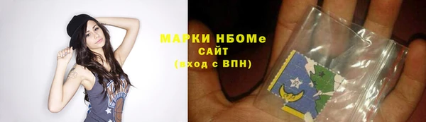 прущие грибы Волоколамск