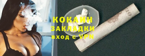 шишки Вязники