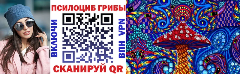 Псилоцибиновые грибы мицелий  дарк нет телеграм  Ноябрьск  как найти наркотики 