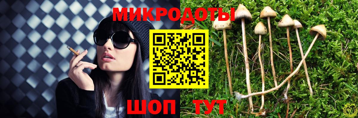 купить наркоту  Вход с VPN  Ноябрьск  Галлюциногенные грибы Cubensis 