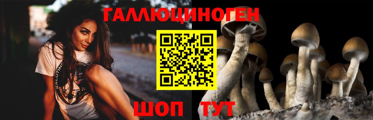 Псилоцибиновые грибы Magic Shrooms Ноябрьск