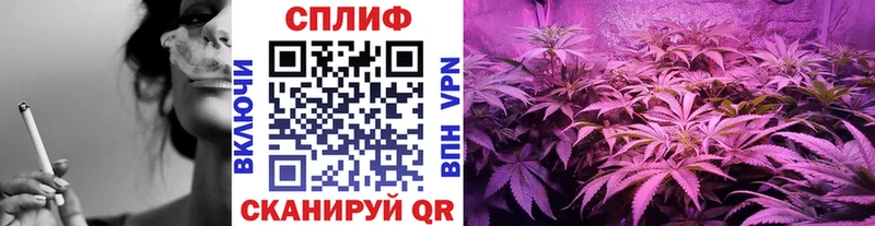 Каннабис Amnesia Ноябрьск
